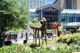 Bailey 58 Inch Height - Denver CO