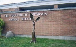 Chauncey 62 Inch Height - South Elgin IL