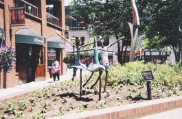 Little Joy Grouping 48 Inch Height