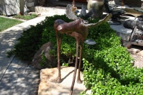 Moose 48 Inch Height - Colorado Residence