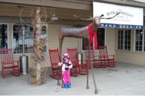 Moose 96 Inch Height - Steamboat Springs CO