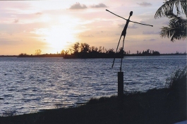 Into The Sun 72 Inch Height - Southern Florida